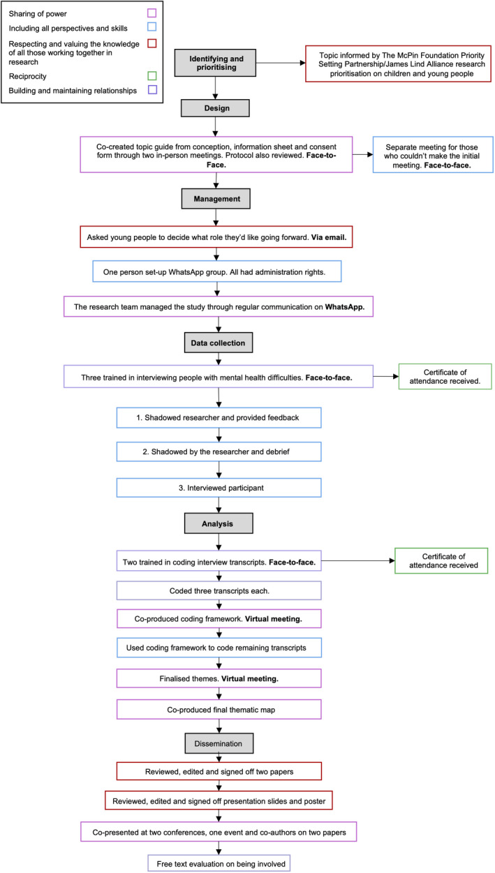 FIGURE 1