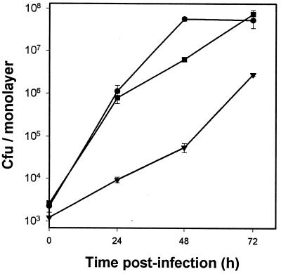 FIG. 7