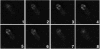 FIG. 2.
