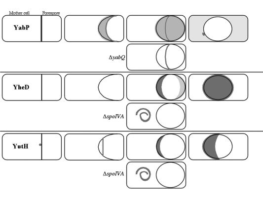 FIG. 7.