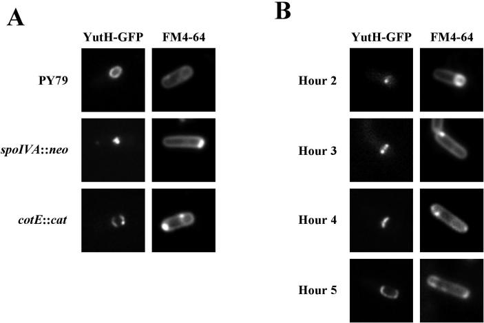 FIG. 6.