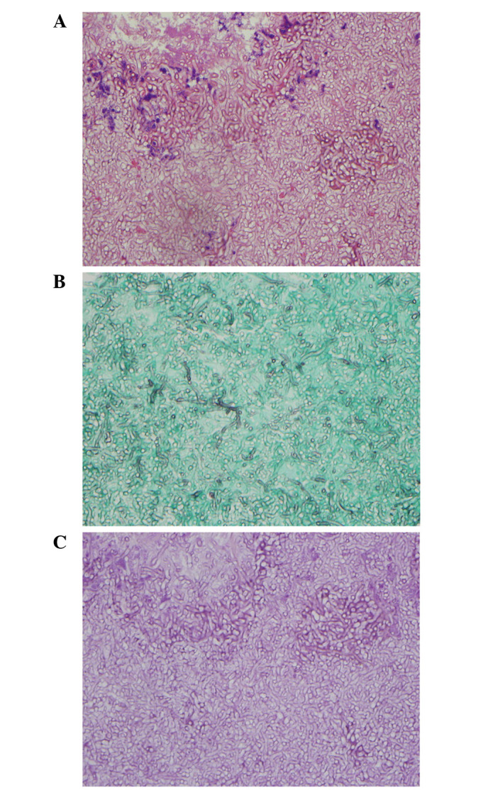 Figure 3.