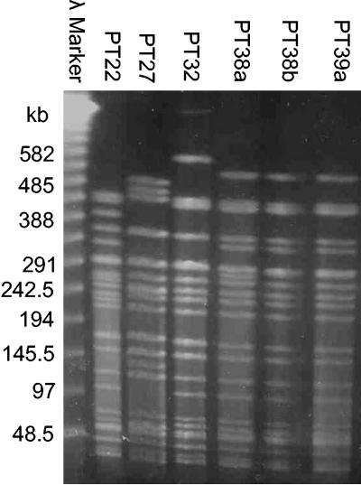 FIG. 1.