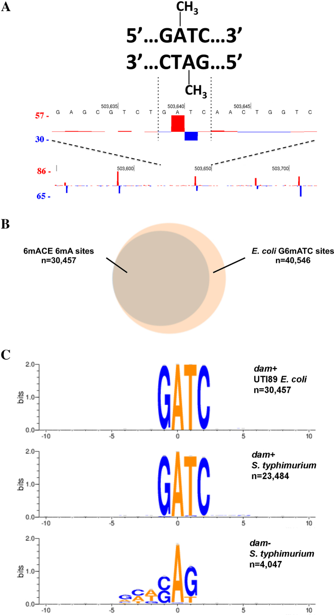 Figure 2.