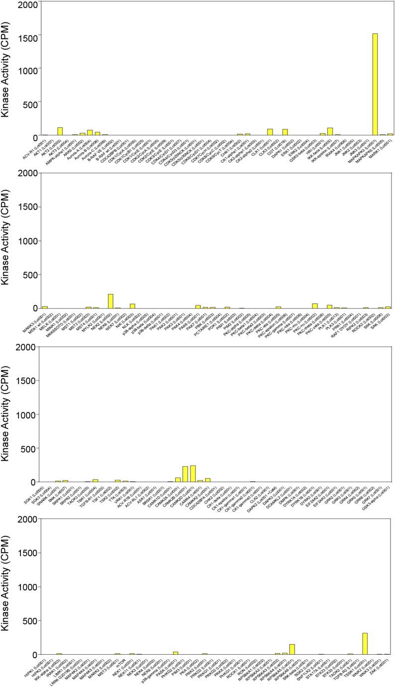 Figure 4—figure supplement 1.