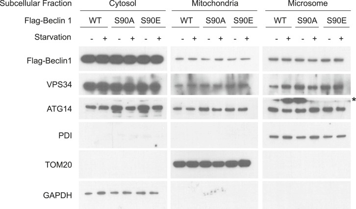 Figure 2—figure supplement 3.