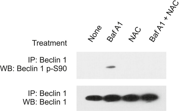 Figure 2—figure supplement 2.