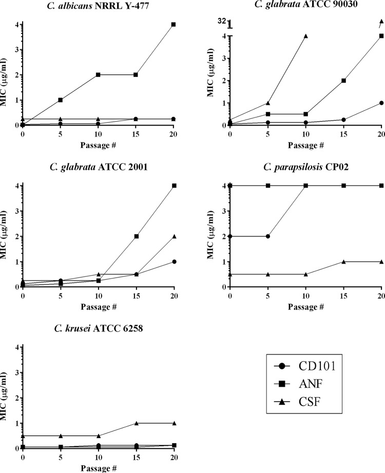 FIG 1