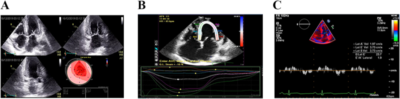 Fig. 4