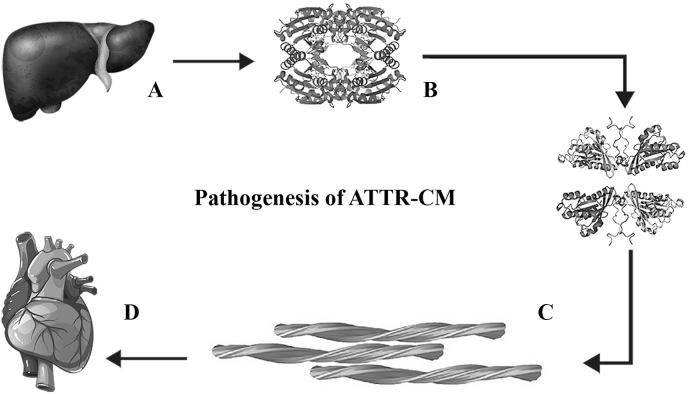 Fig. 1