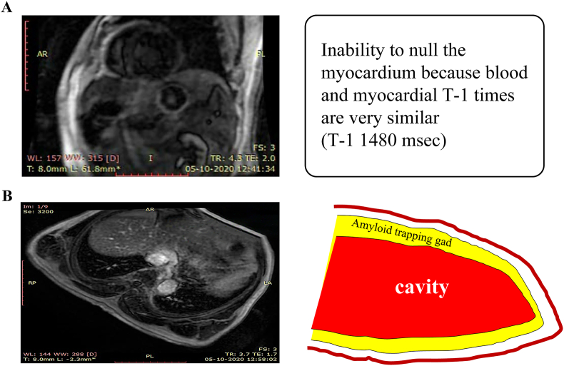 Fig. 5