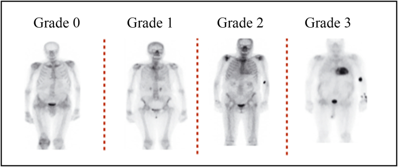 Fig. 6