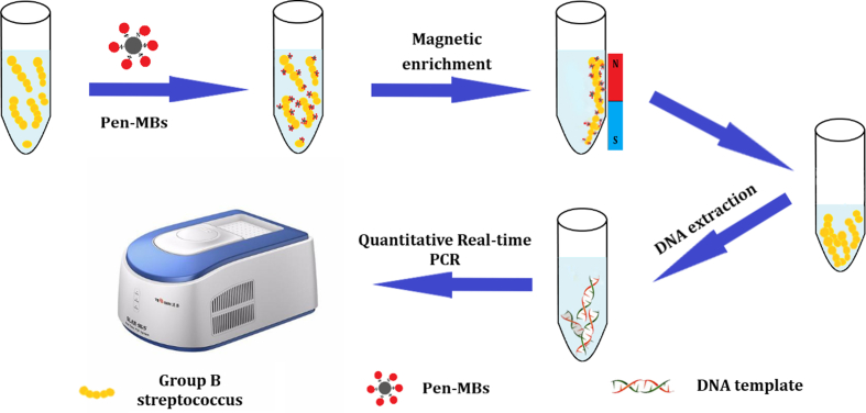 Supplementary Figure 1
