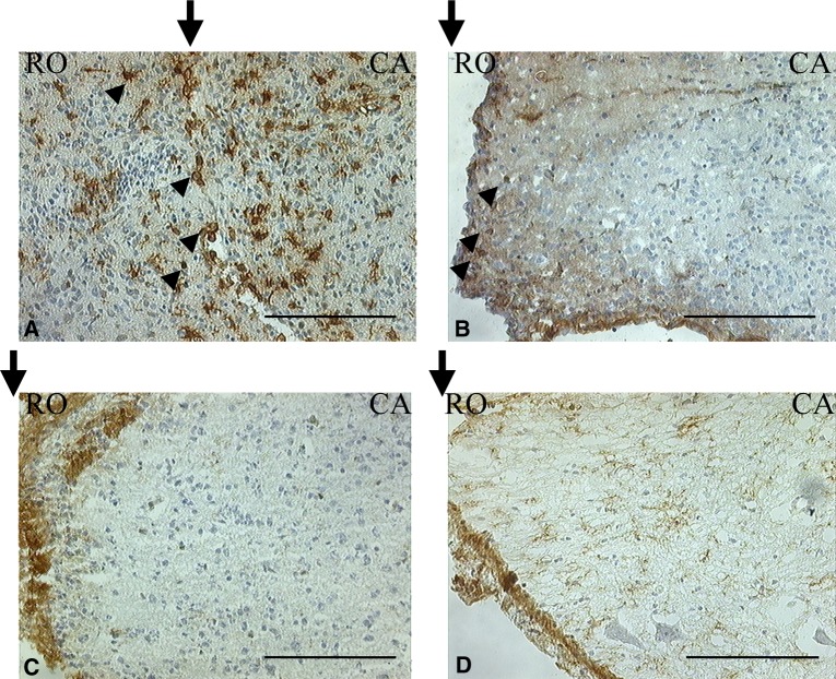 Fig. 7