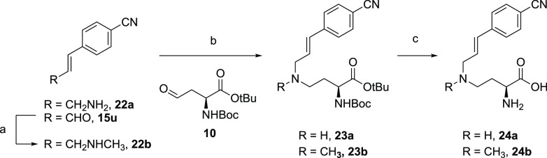 Scheme 4