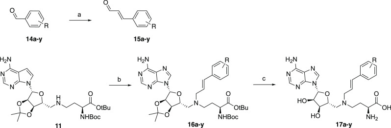 Scheme 2