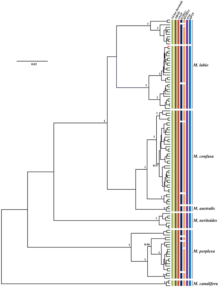 Figure 6