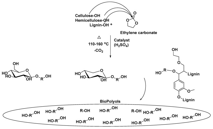 Scheme 5