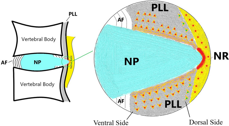 Fig. 7