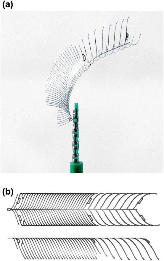 Figure 1