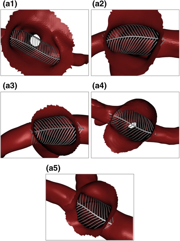 Figure 2