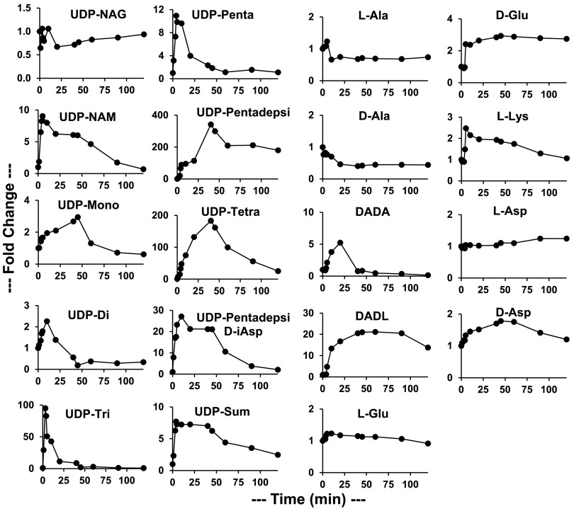 FIG 2