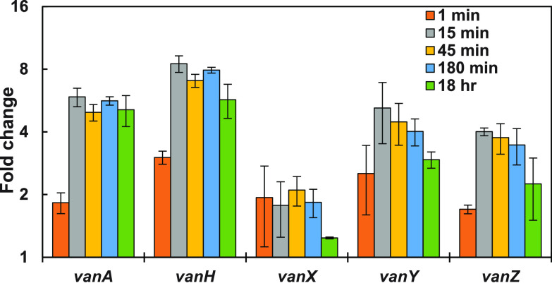 FIG 3