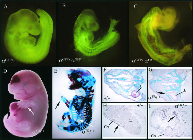 FIG. 7.