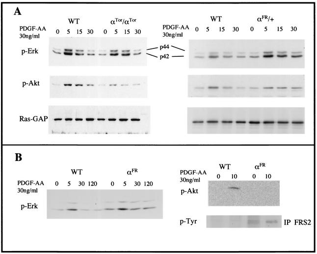 FIG. 8.