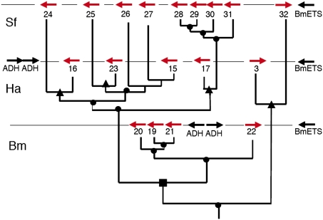 Fig. 4.