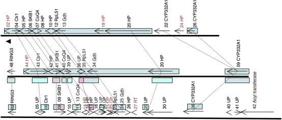 Fig. 1.