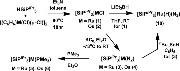 Scheme 1