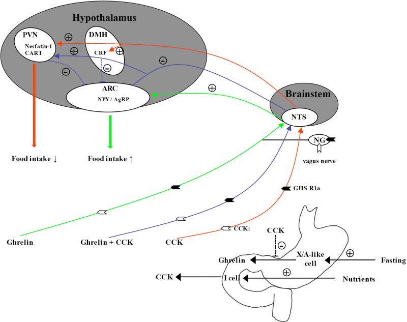 Fig. (1)