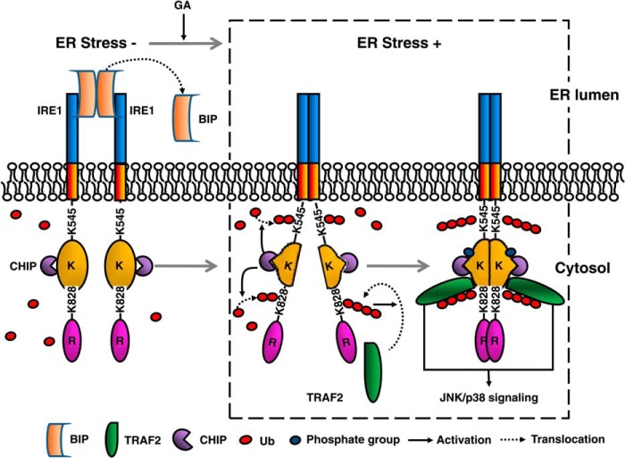 FIGURE 7.