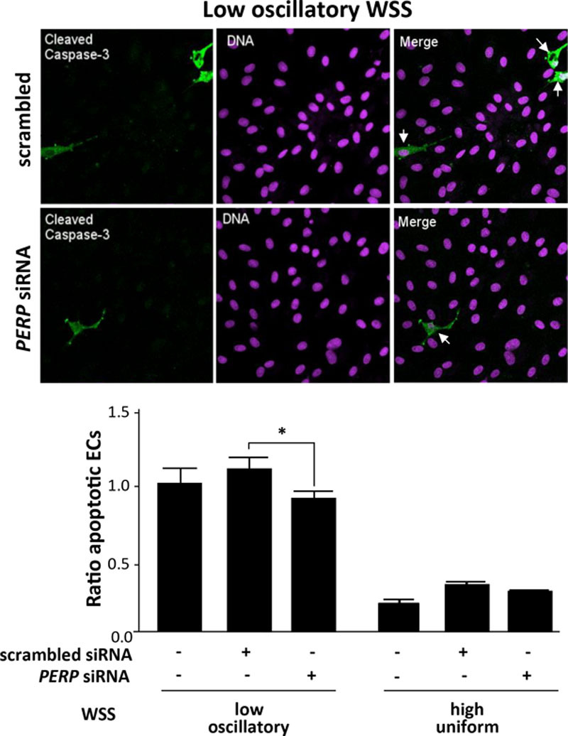 Figure 10.