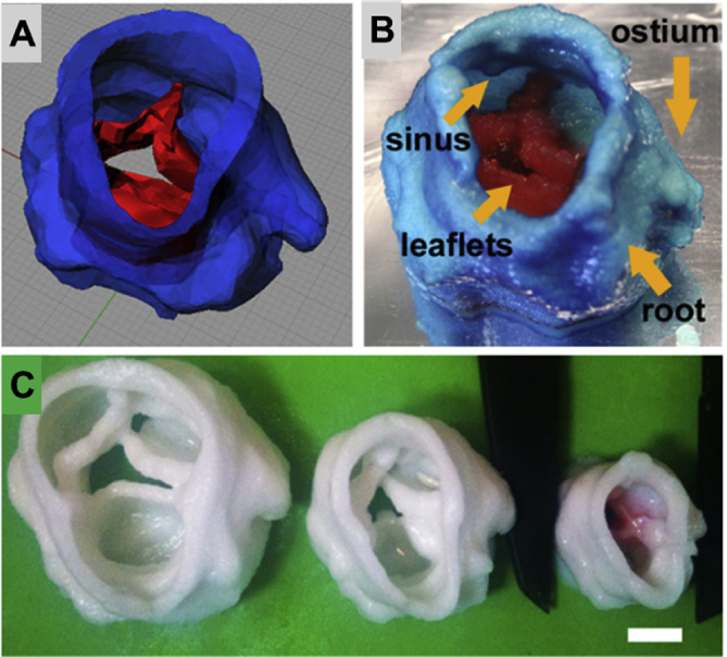 Fig. 9