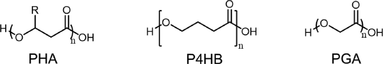 Scheme 4