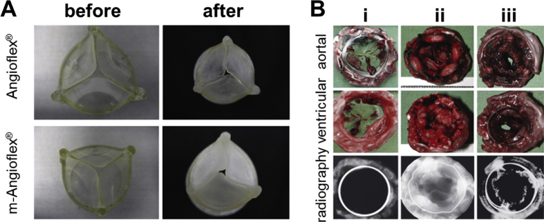 Fig. 3