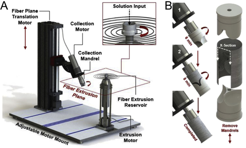Fig. 6