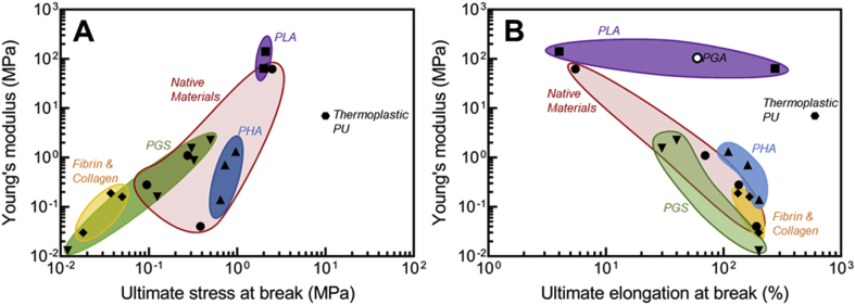 Fig. 12