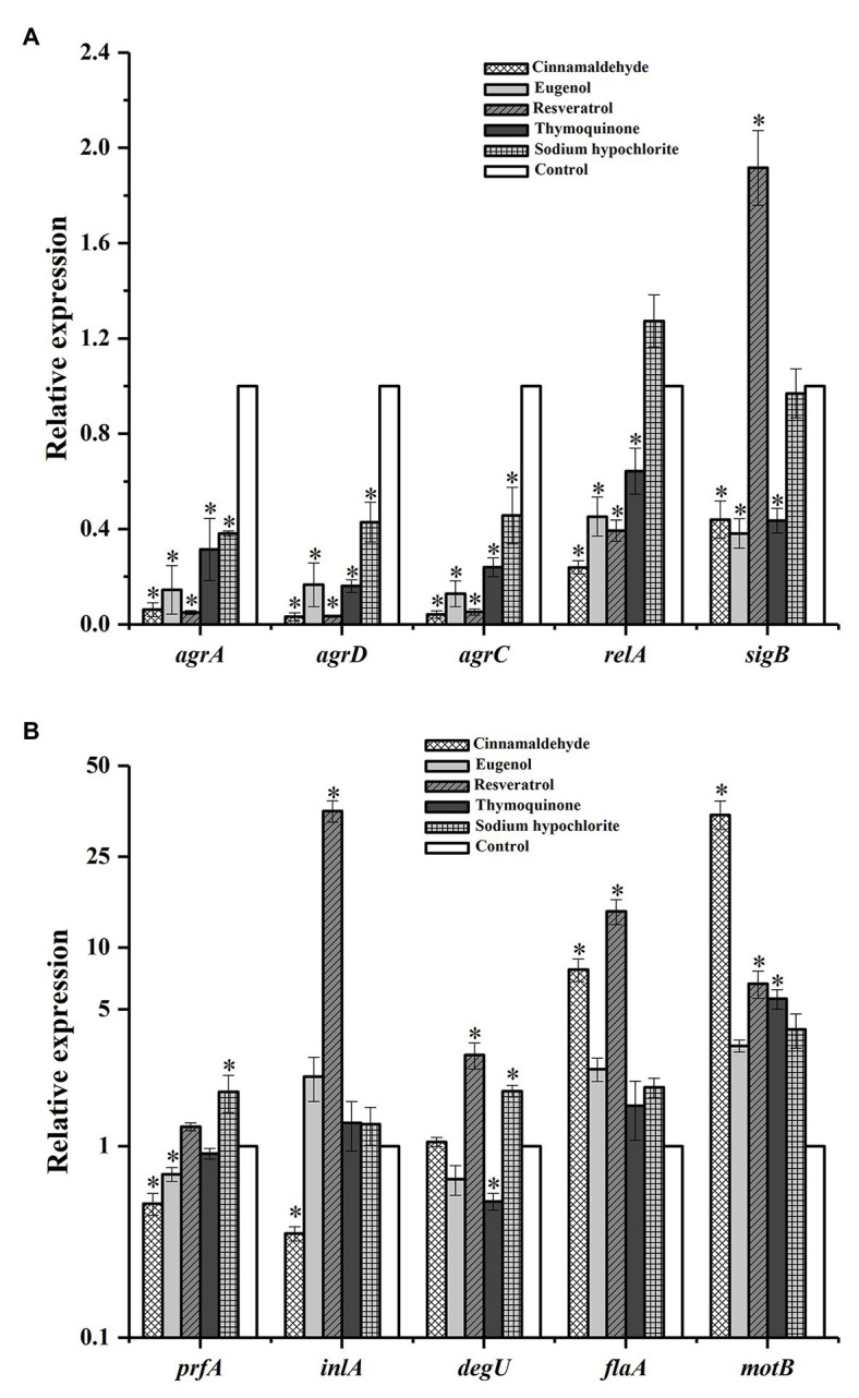 Figure 5