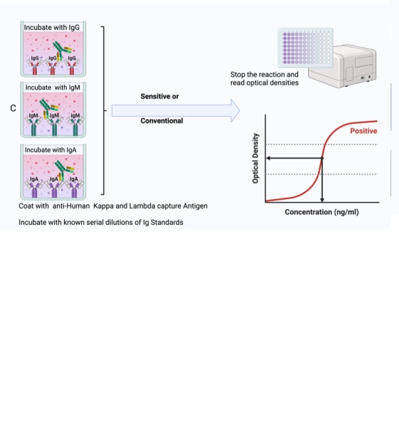 graphic file with name BioProtoc-13-24-4905-ga001.jpg