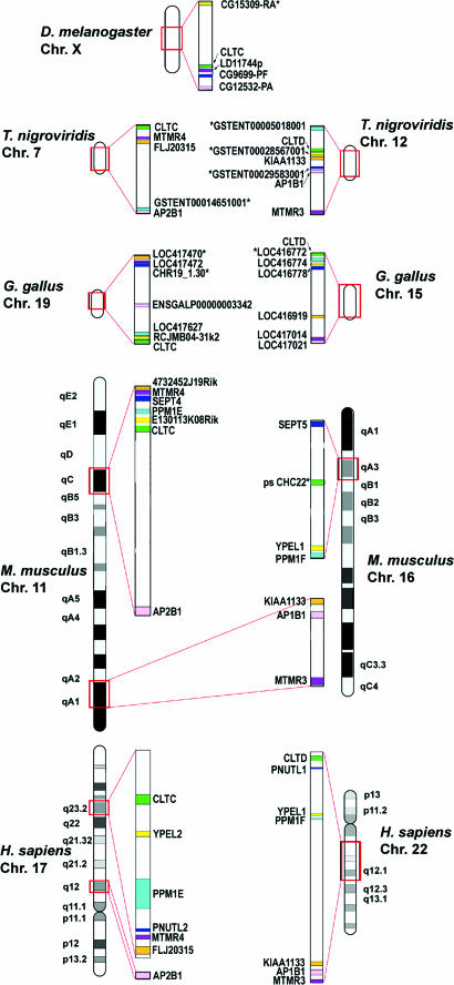 Fig. 3.