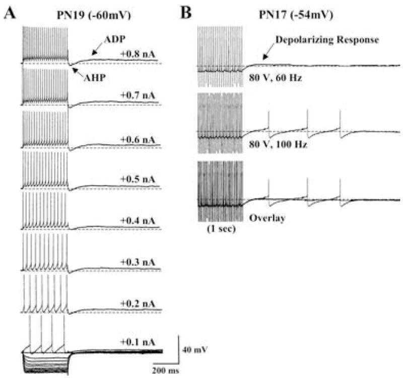 Fig. 14