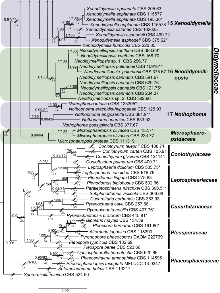 Fig. 1