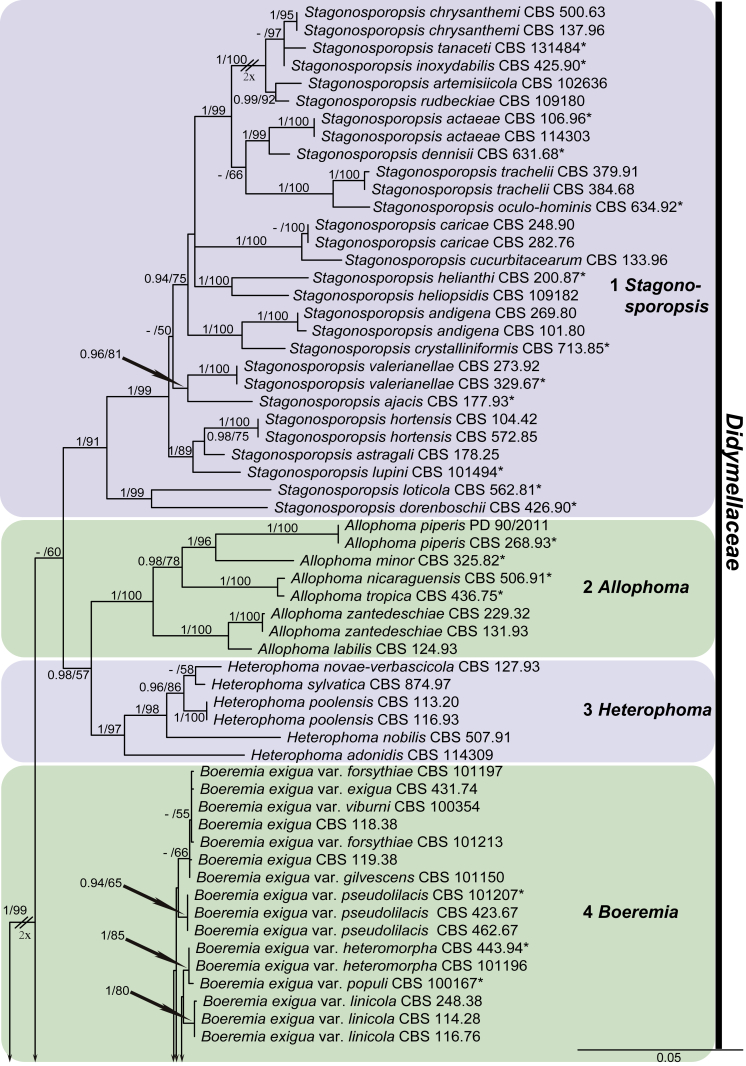 Fig. 1