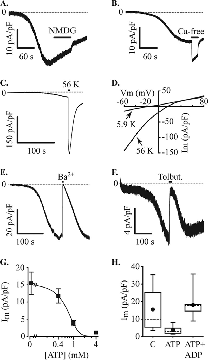 FIGURE 4.