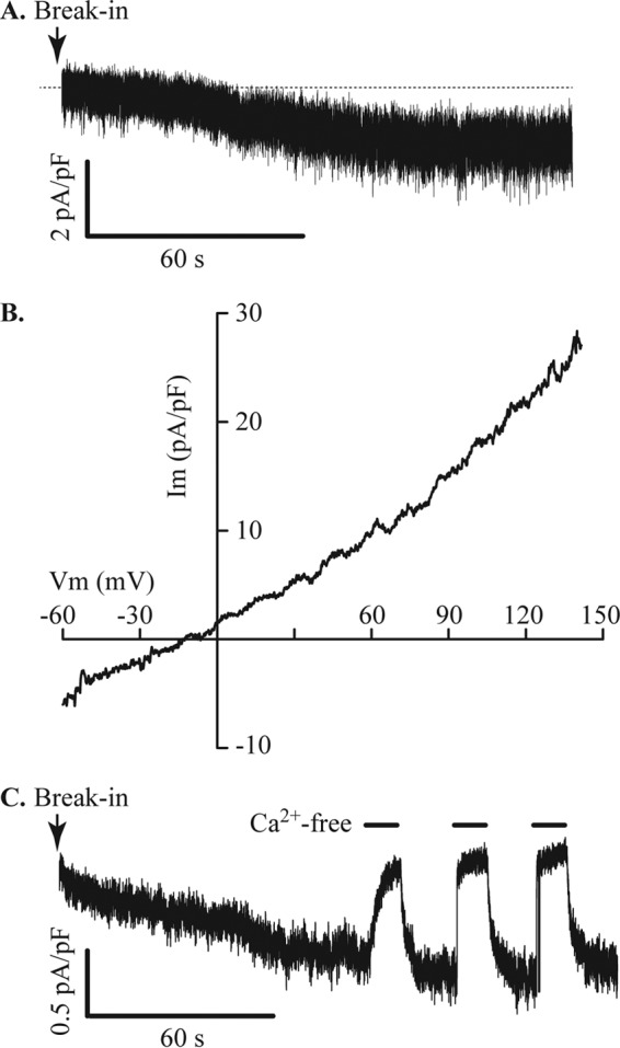 FIGURE 5.