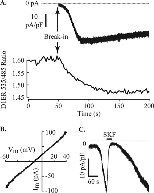 FIGURE 3.