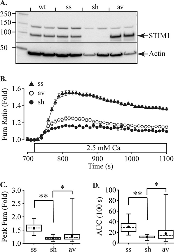 FIGURE 2.